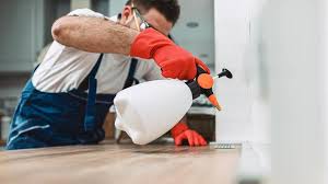 Emergency Pest Control Services in Youngtown, AZ